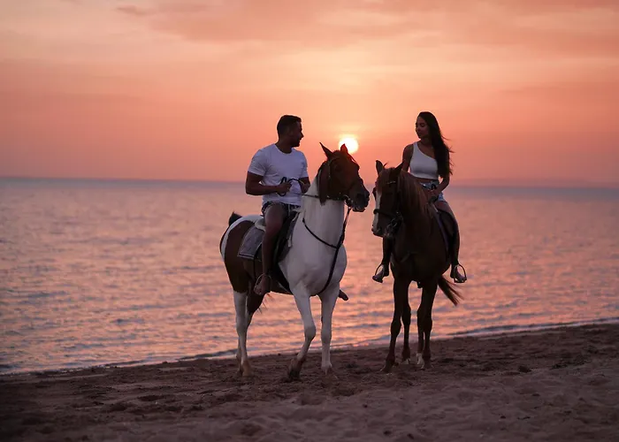 Ali Pasha 4* Hurgada
