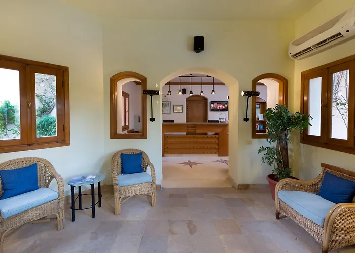 Ali Pasha 4* Hurgada